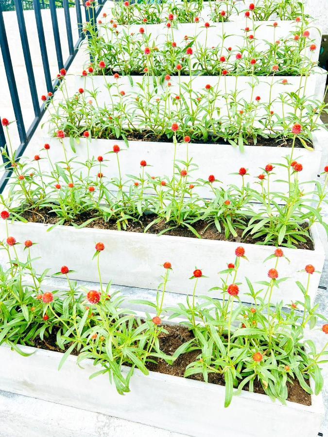 Farm View Resort @Uthai Thani ฟาร์มวิว รีสอร์ท อุทัยธานี Nong Khayang エクステリア 写真